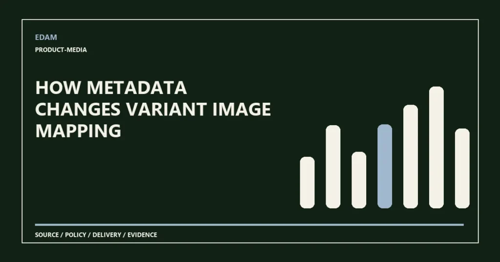 System diagram for how metadata changes variant image mapping